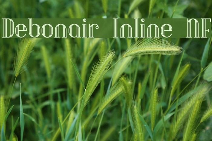 Debonair Inline NF Fonte examples