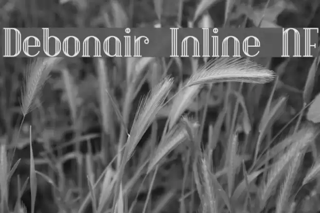 Debonair Inline NF Schriftart examples