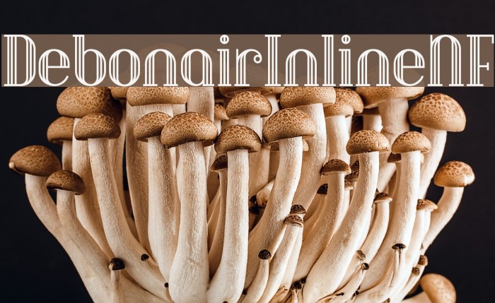 DebonairInlineNF Example 1