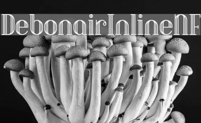 DebonairInlineNF Font examples