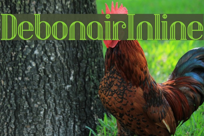 DebonairInline Font examples