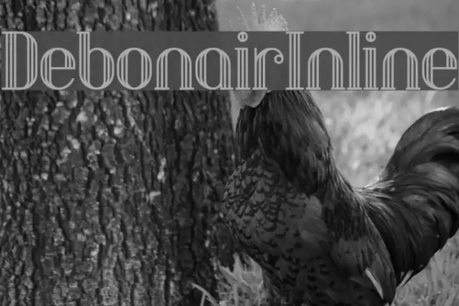 DebonairInline Example 3