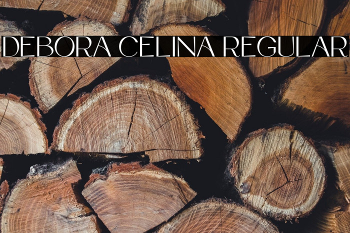 Debora Celina Regular Example 2