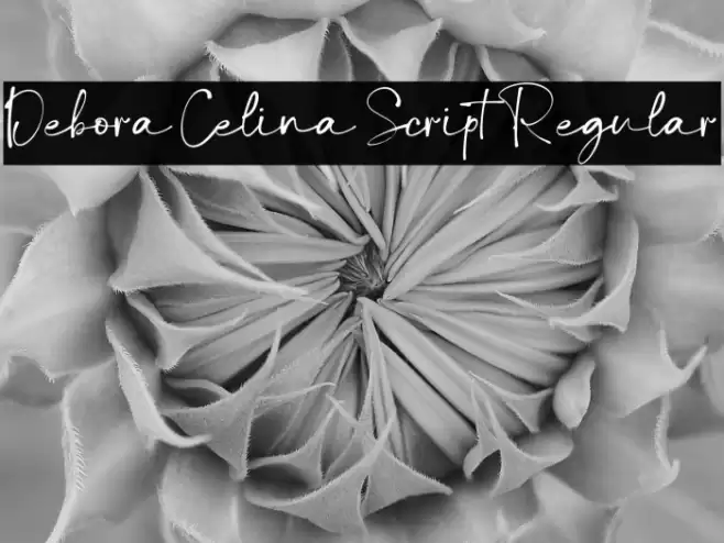 Debora Celina Script Regular Font examples
