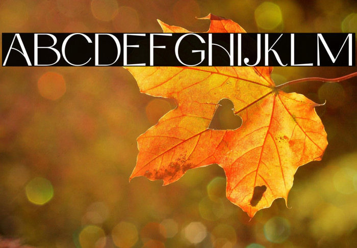 DeboraCelina-Regular Example 1