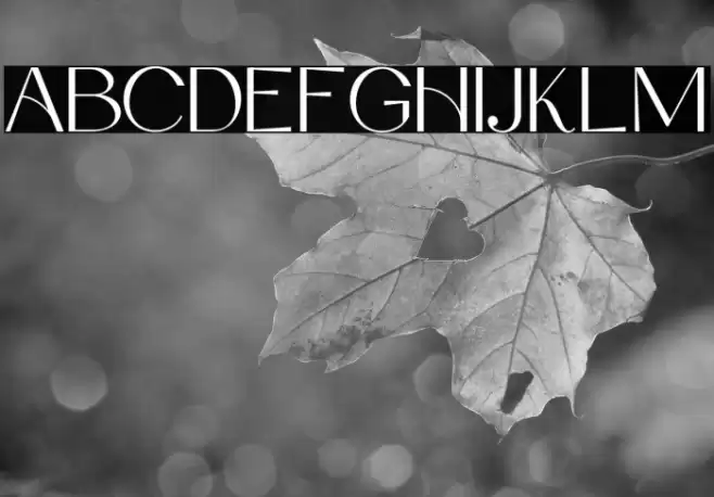 DeboraCelina-Regular Font examples