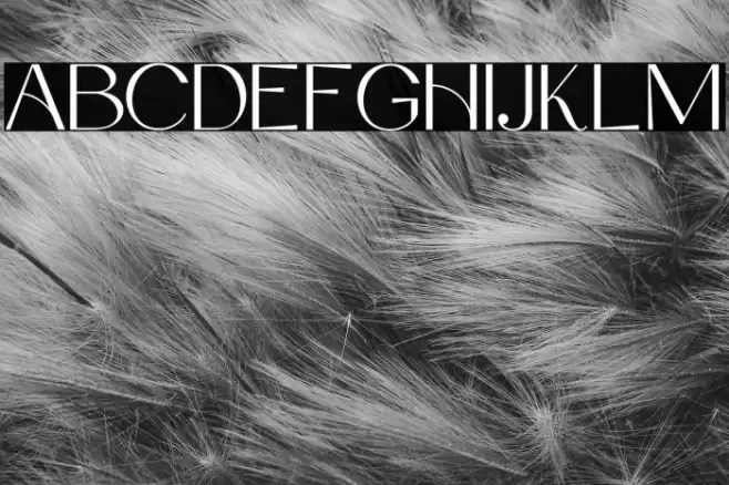 DeboraCelina-Regular Font examples