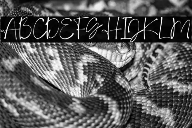 DeboraCelinaScript-Regular Polices examples