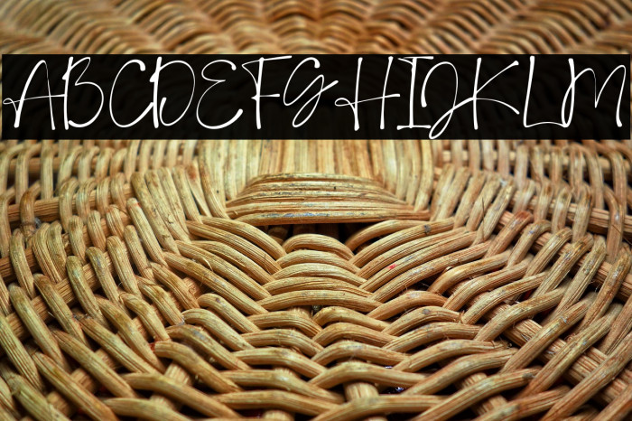 DeboraCelinaScript-Regular Example 3