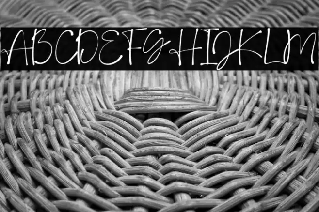 DeboraCelinaScript-Regular Polices examples