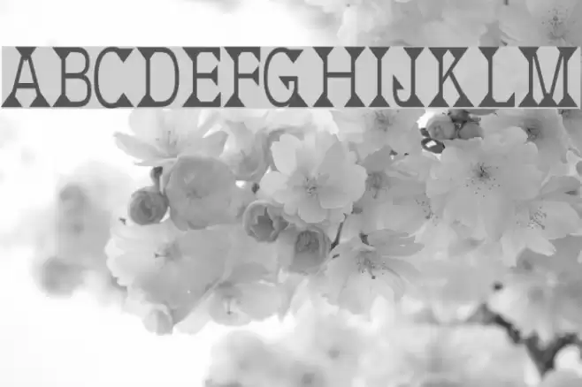 Deborah Condensed フォント examples