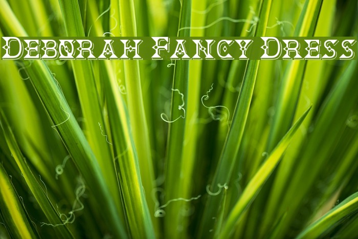 Deborah Fancy Dress Font examples