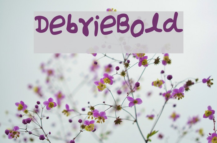 Debrie_Bold Font examples