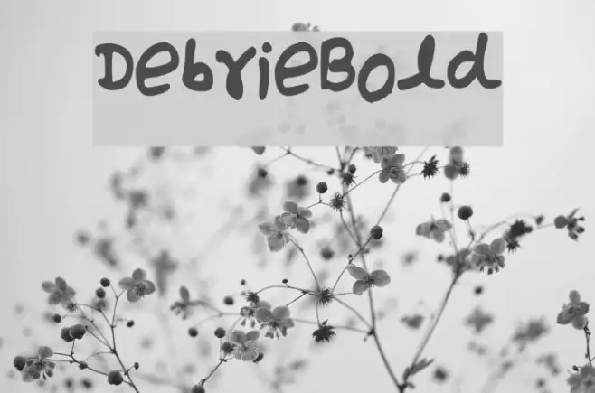 Debrie_Bold Example 3