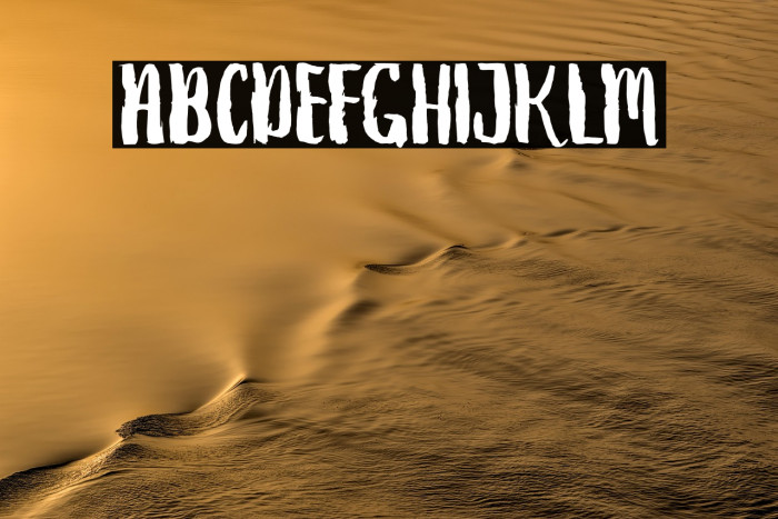 DebtCollectors Example 2