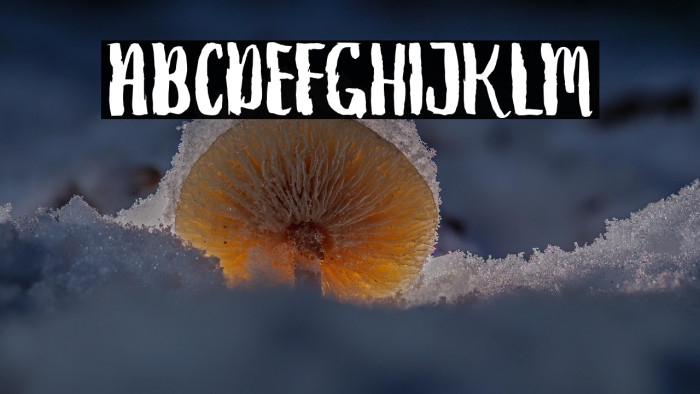 DebtCollectors Example 3