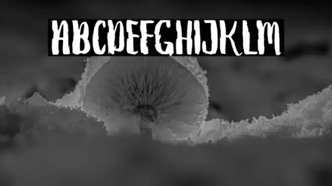 DebtCollectors Font examples