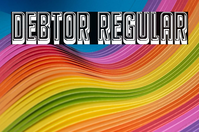 Debtor Regular Example 1