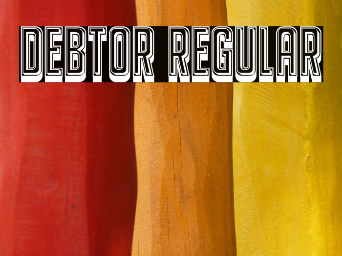 Debtor Regular Example 2