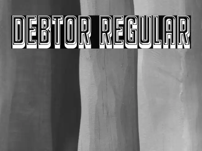 Debtor Regular Example 2