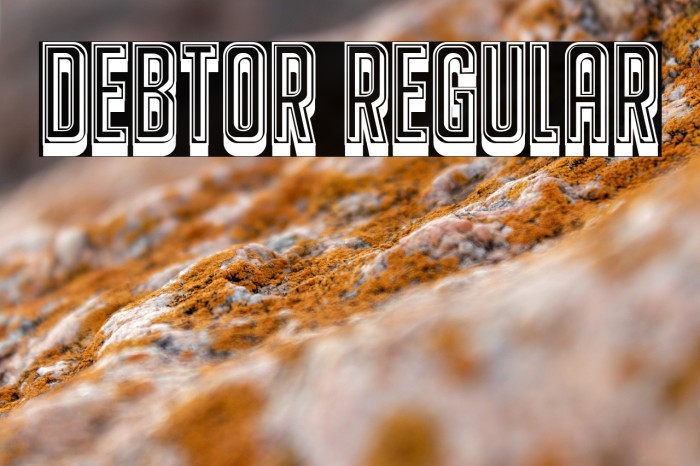 Debtor Regular Example 3