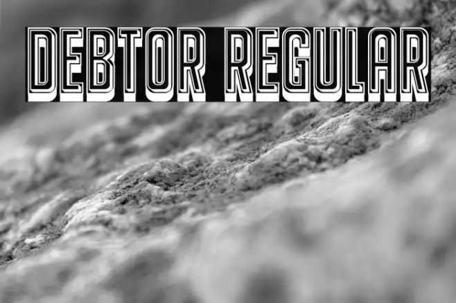Debtor Regular Example 3