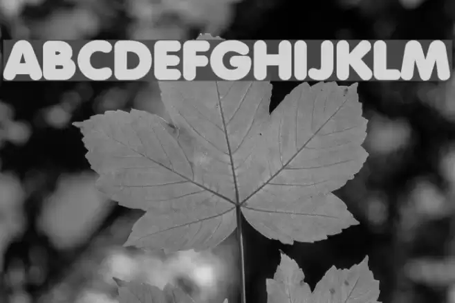 Debussy Font examples