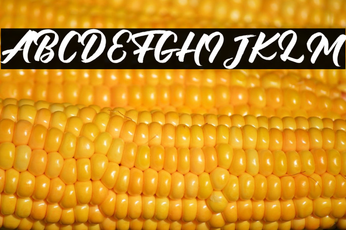 Debutan Brush Script  Example 1