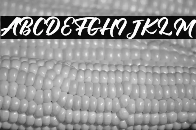 Debutan Brush Script  Example 1