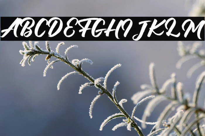 Debutan Brush Script  Example 3