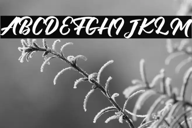 Debutan Brush Script  Example 3