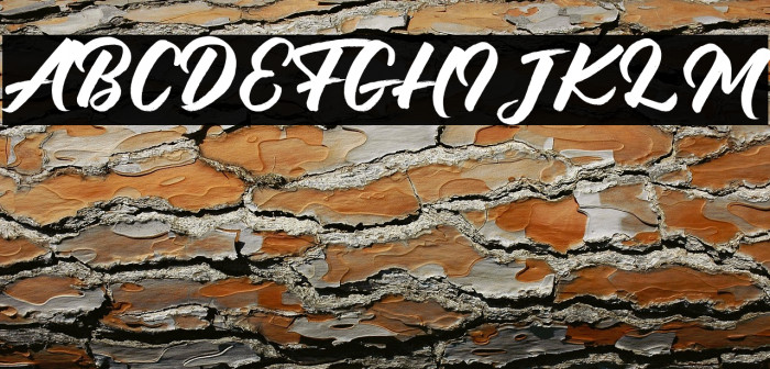 Debutan Brush Script Example 2