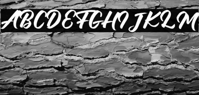 Debutan Brush Script Font examples