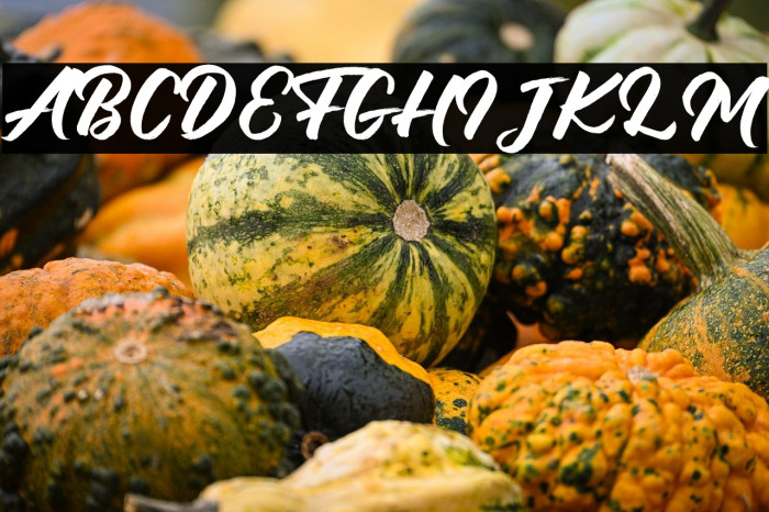 Debutan Brush Script Example 3