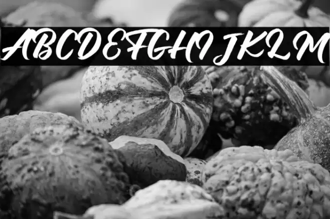 Debutan Brush Script Font examples