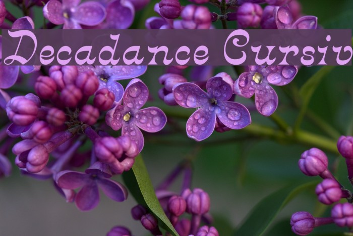 Decadance Cursiv Font examples