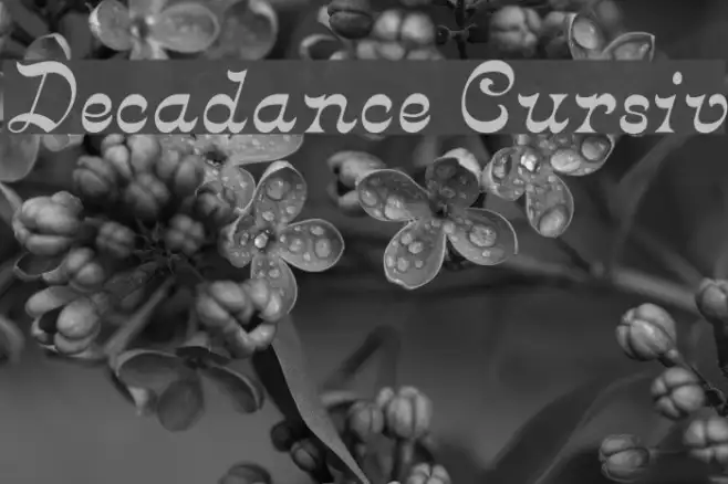 Decadance Cursiv Example 2