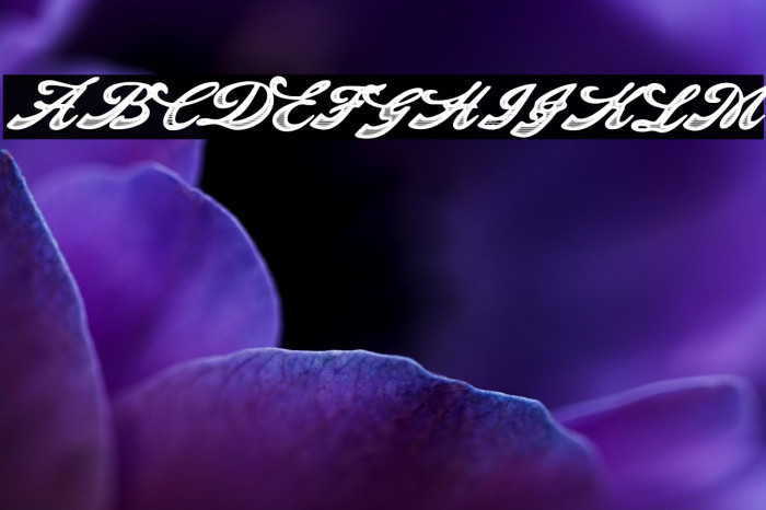 Decadence Personal Use Regular Example 1