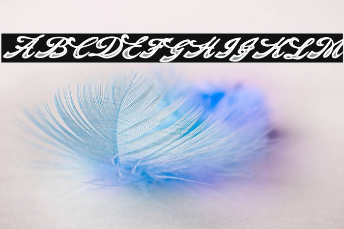 Decadence Personal Use Regular Example 3