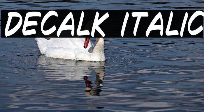 Decalk Italic Font examples