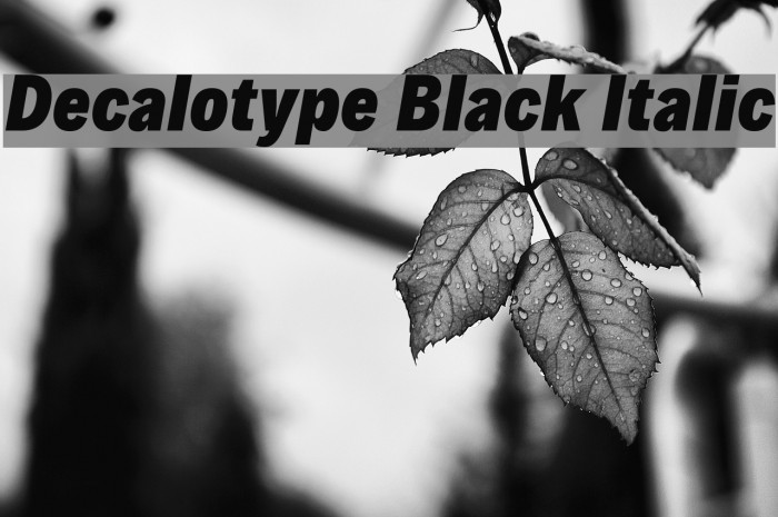 Decalotype Black Italic Font examples