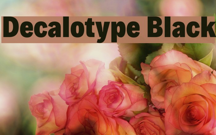 Decalotype Black Font examples