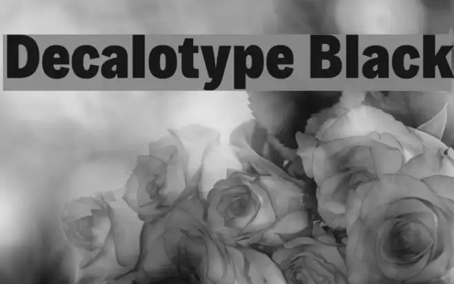 Decalotype Black Font examples