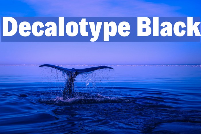 Decalotype Black Font examples