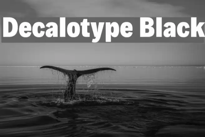 Decalotype Black Font examples