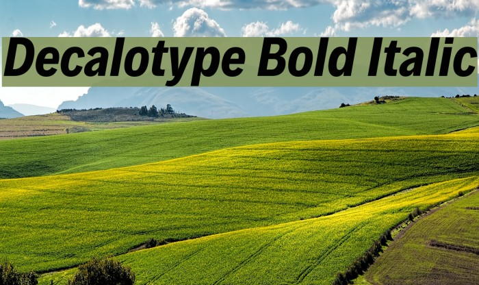 Decalotype Bold Italic Font examples