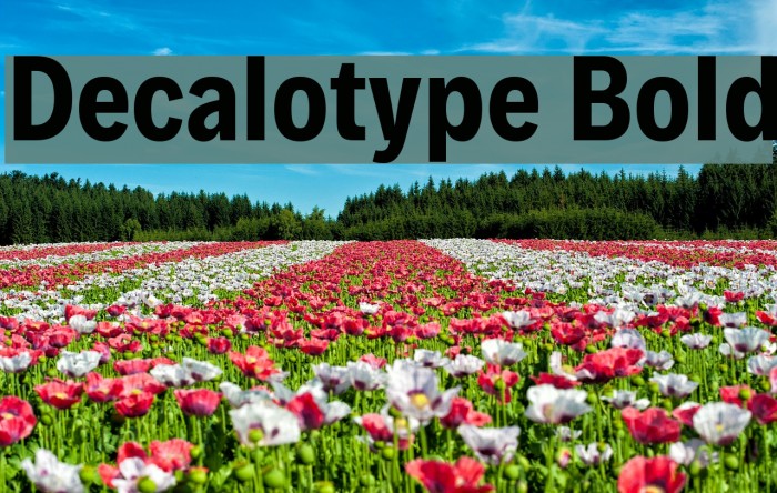 Decalotype Bold Font examples