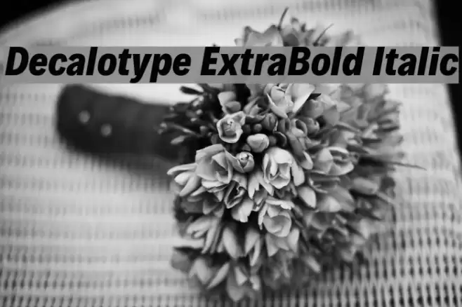 Decalotype ExtraBold Italic Font examples