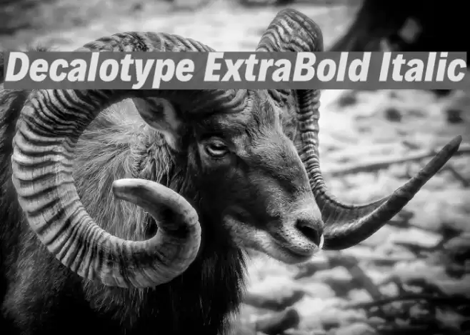Decalotype ExtraBold Italic Font examples