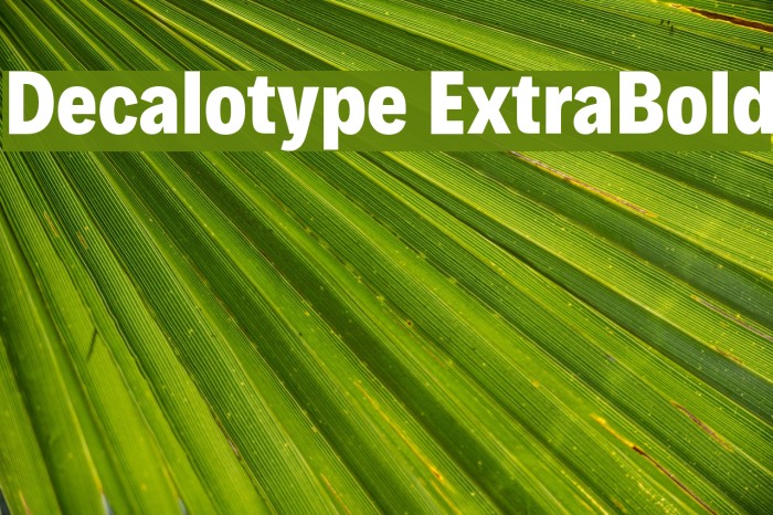 Decalotype ExtraBold Font examples